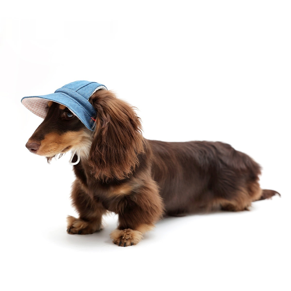 Pet Cowboy Hat