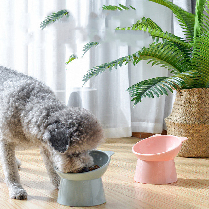 Tilted Cat Food Bowl