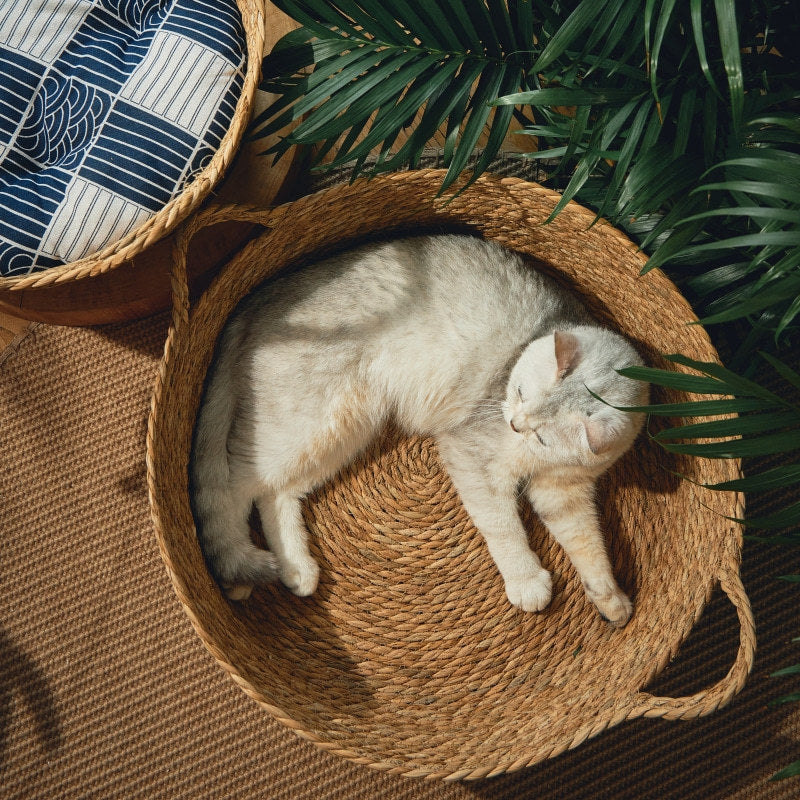 Woven Cattail Cat Bed