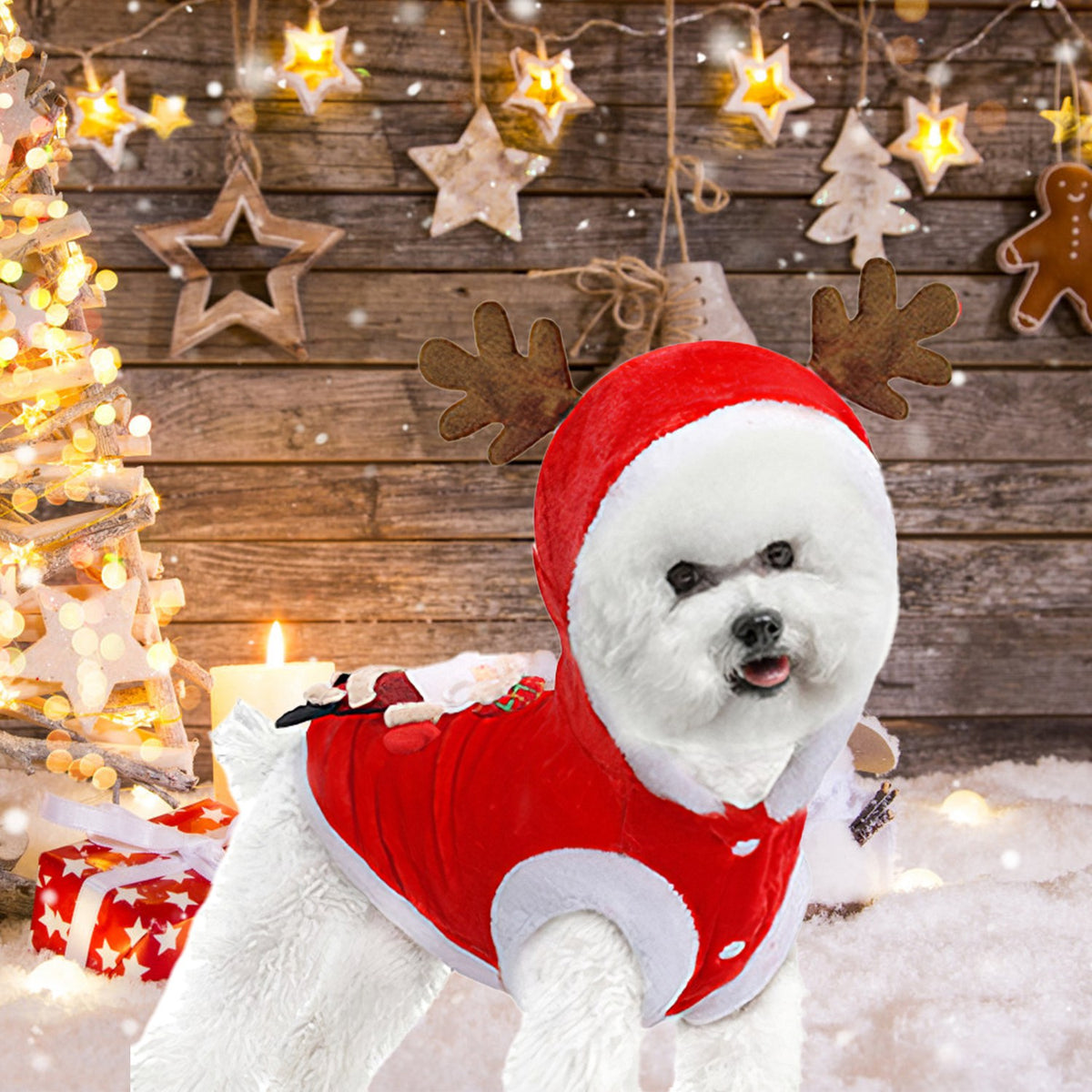 Santa Reindeer Pet Costume