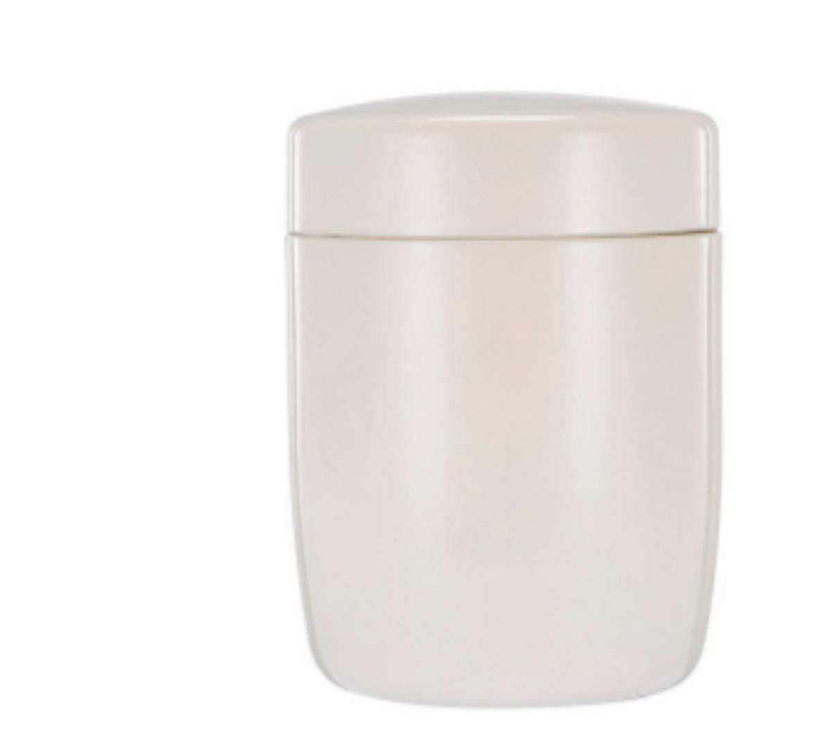 Mini Insulated Food Jar Mug
