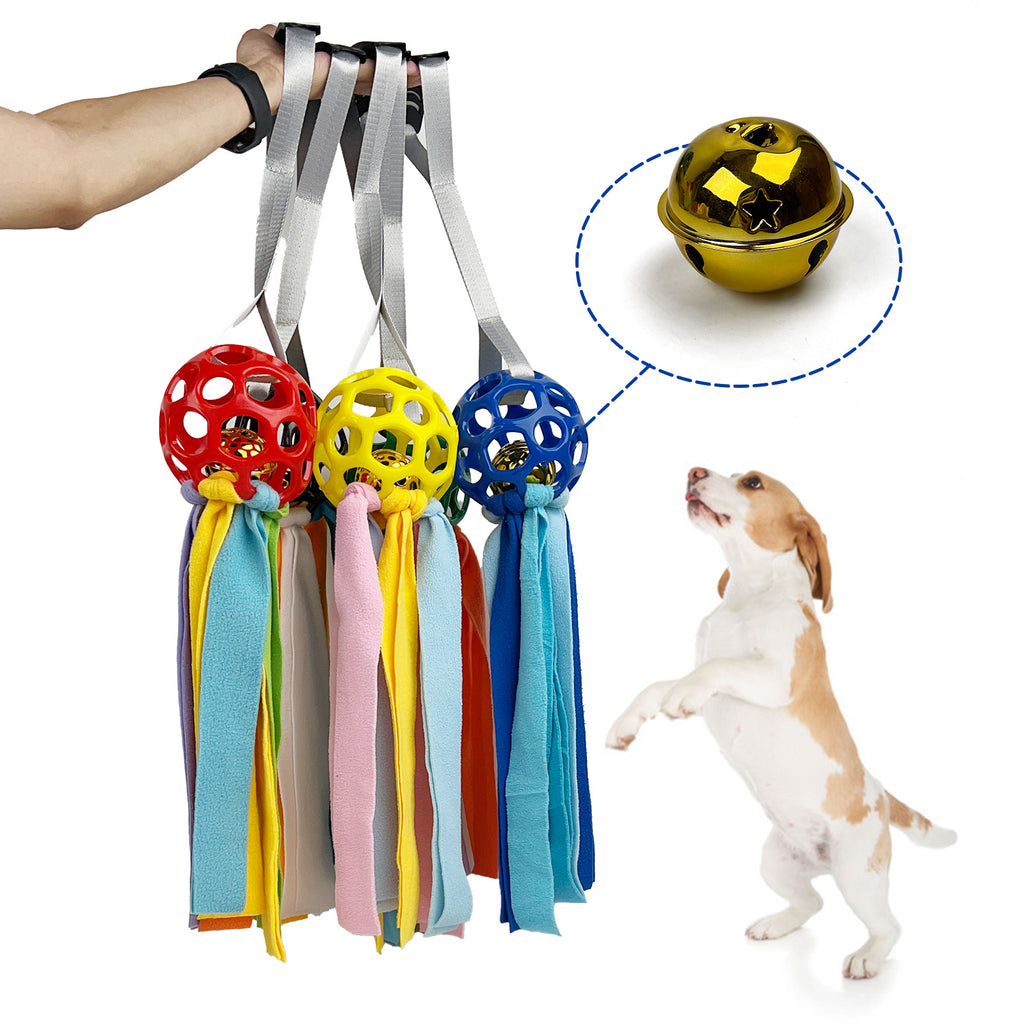 Hollow Treat Ball with Bell