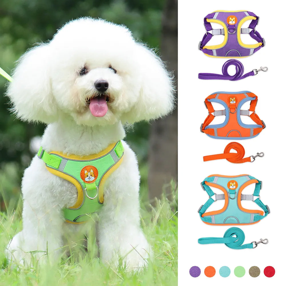 Reflective No-Pull Dog Harness & Leash