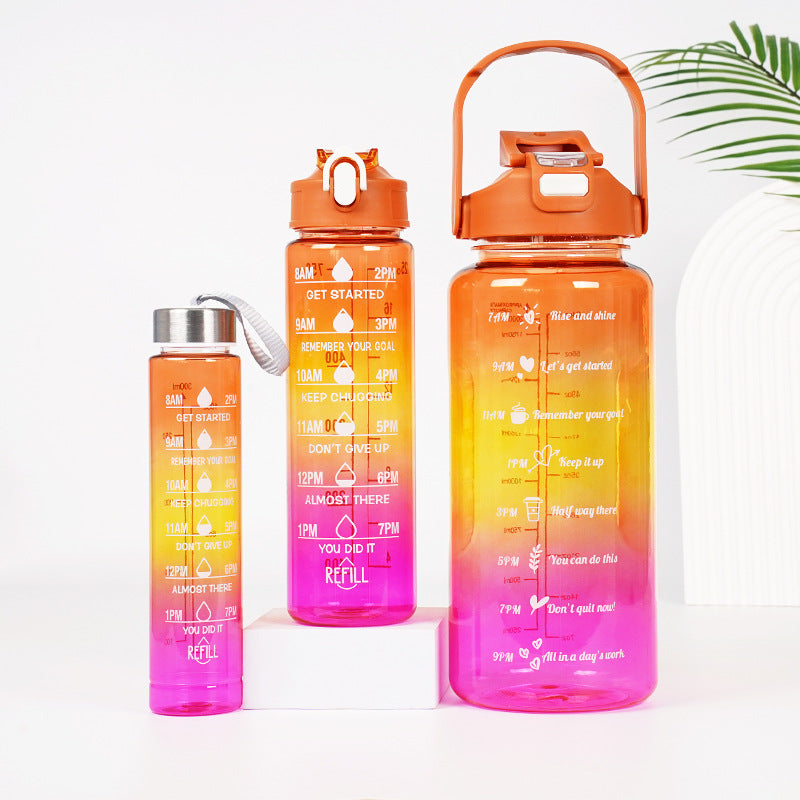 Motivational Water Bottle Set (3)