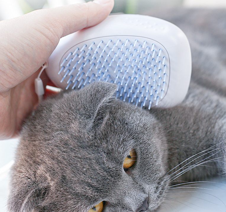 Cat & Dog Hair Grooming Brush