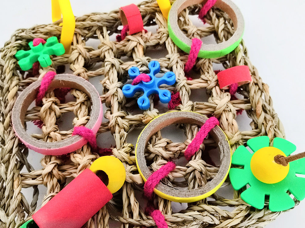 Colorful Parrot Chew Blocks