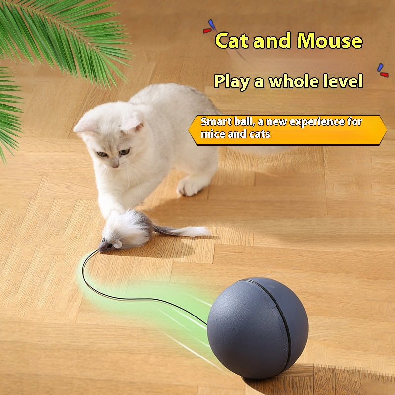 Rolling Mouse Teaser Ball
