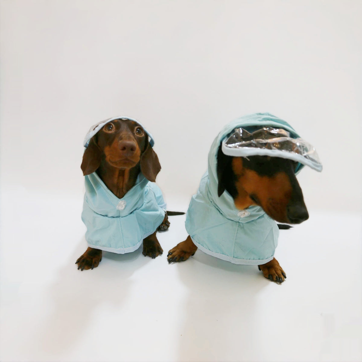 Dog Hooded Rain Poncho