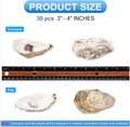 Oyster Shells with Pearls (30 pcs)