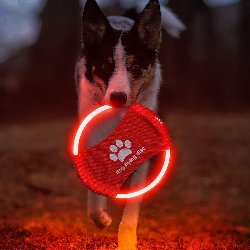 Light-Up Dog Flying Disc