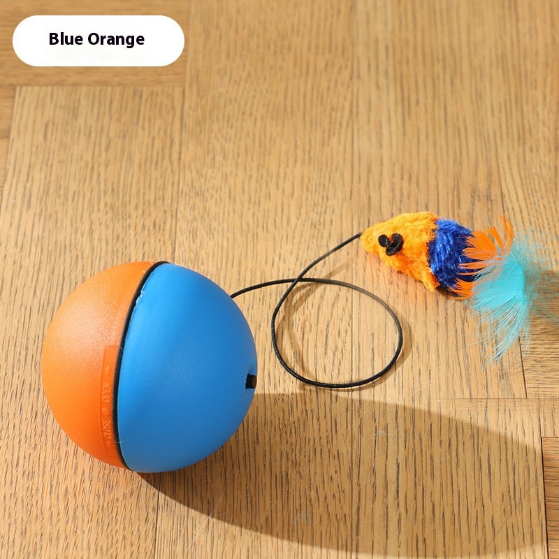 Rolling Mouse Teaser Ball