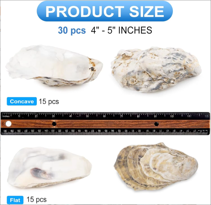 Oyster Shells with Pearls (30 pcs)