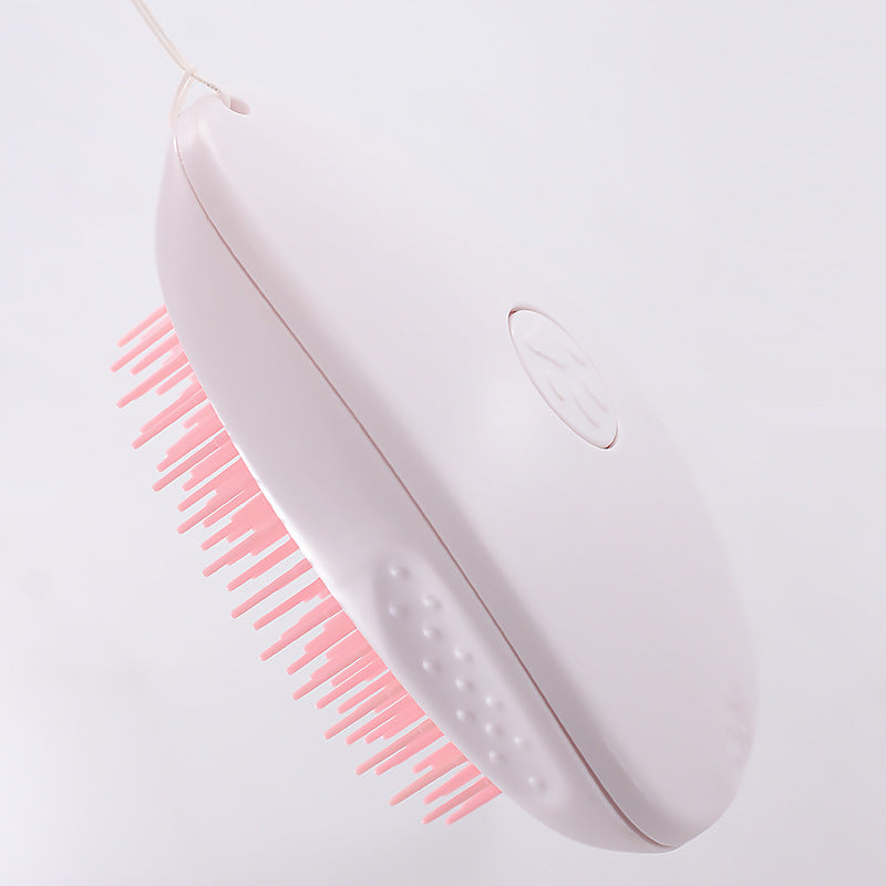 Cat & Dog Hair Grooming Brush