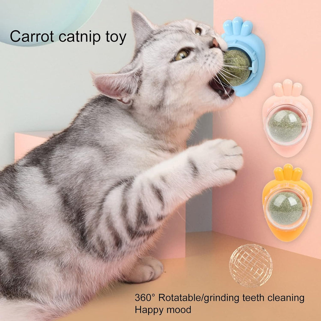 Carrot Catnip Wall Treat