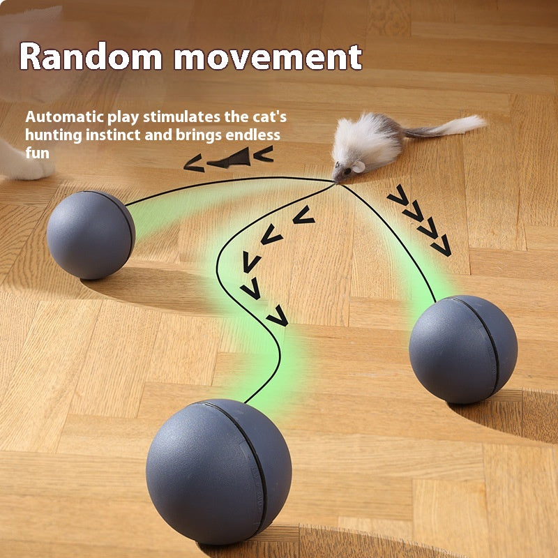 Rolling Mouse Teaser Ball