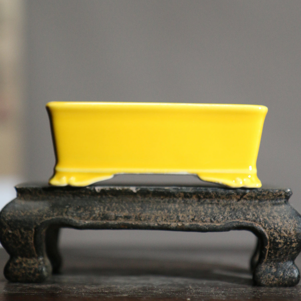 Mini Rectangular Ceramic Planter