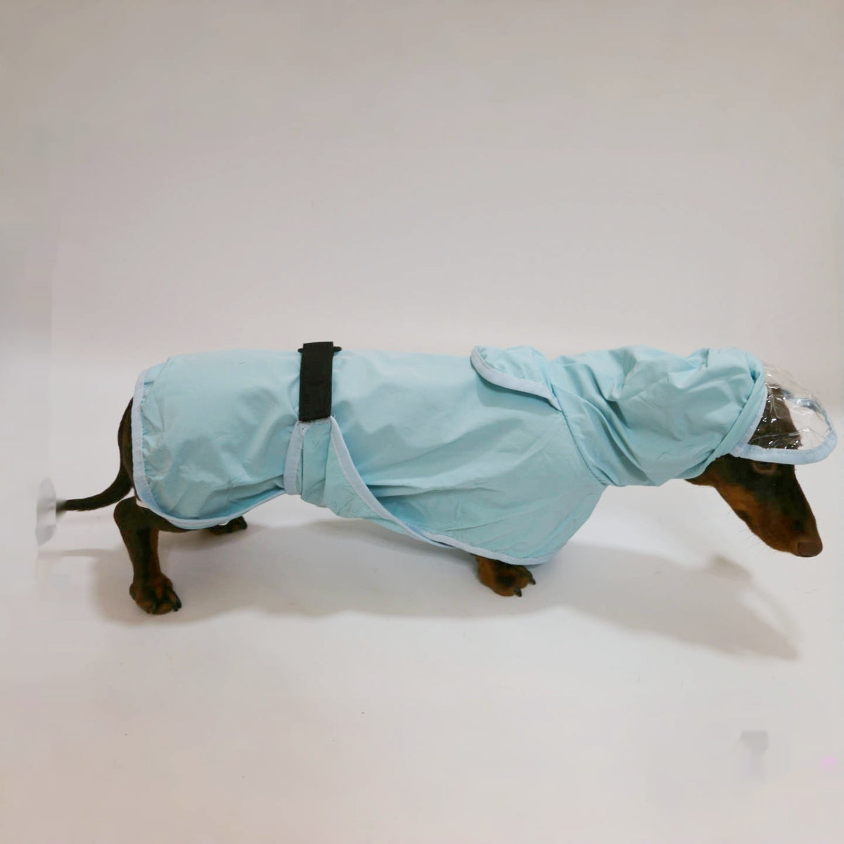Dog Hooded Rain Poncho