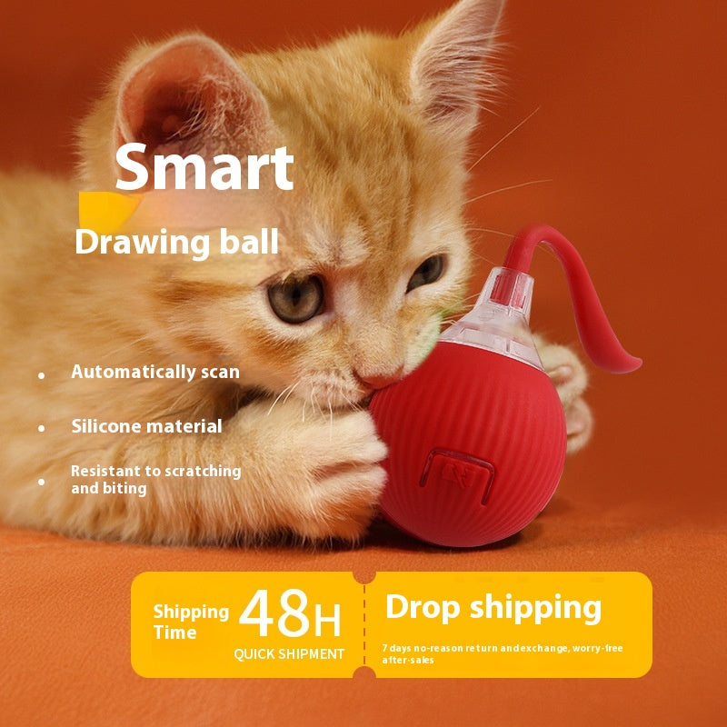 Automatic Rolling Cat Ball