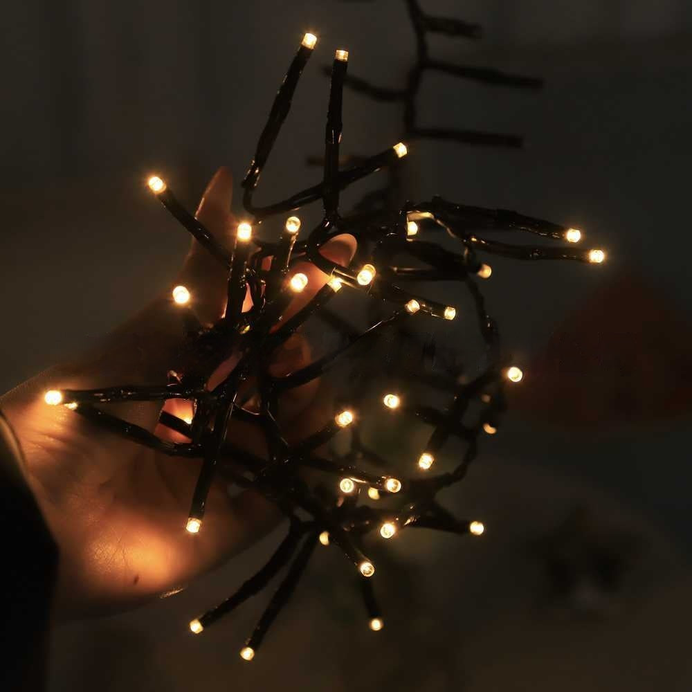 Solar Garden Stake Lights