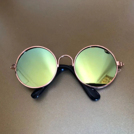 Pet Sunglasses