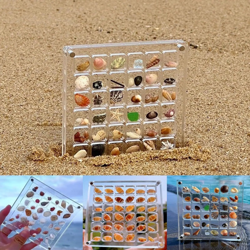 Seashell Display Box