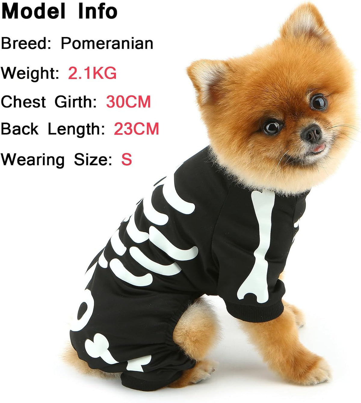 Glow Skeleton Dog Costume