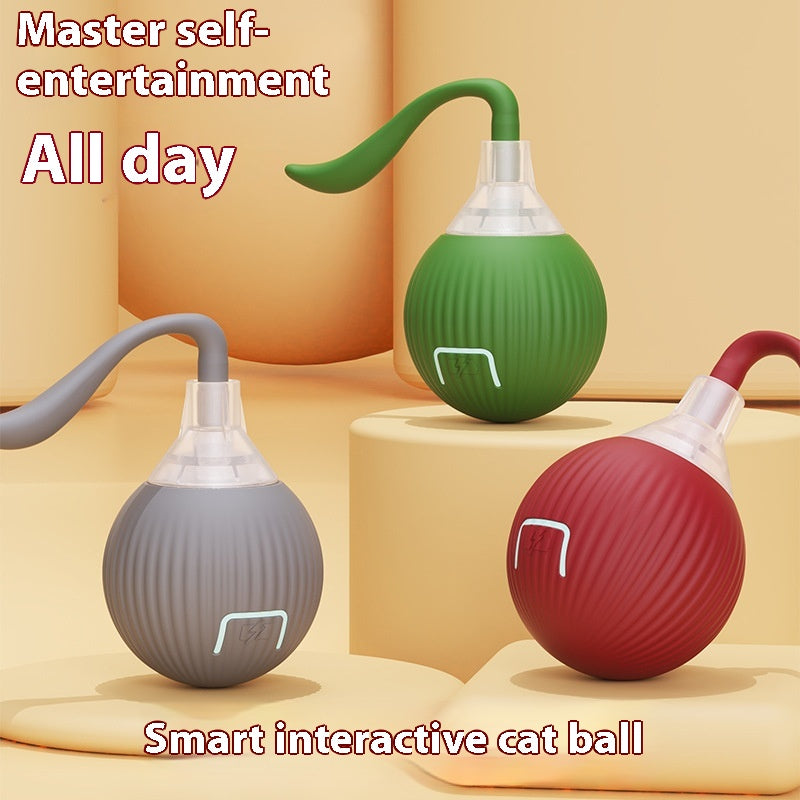 Automatic Rolling Cat Ball