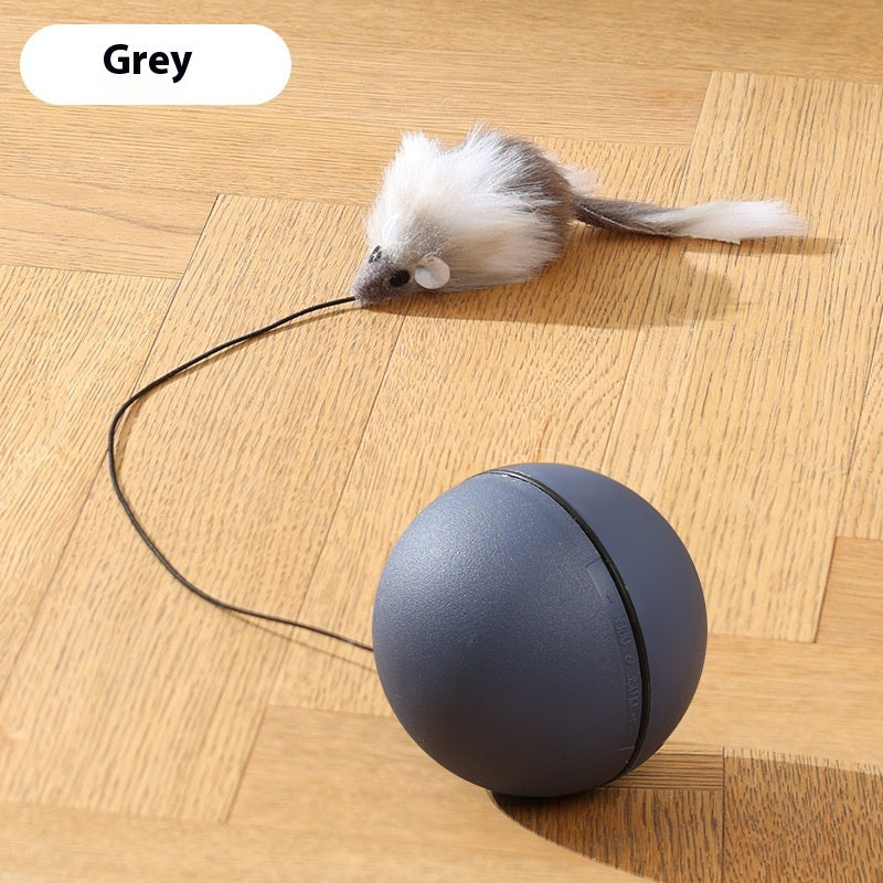 Rolling Mouse Teaser Ball