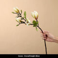 Artificial Magnolia Stems
