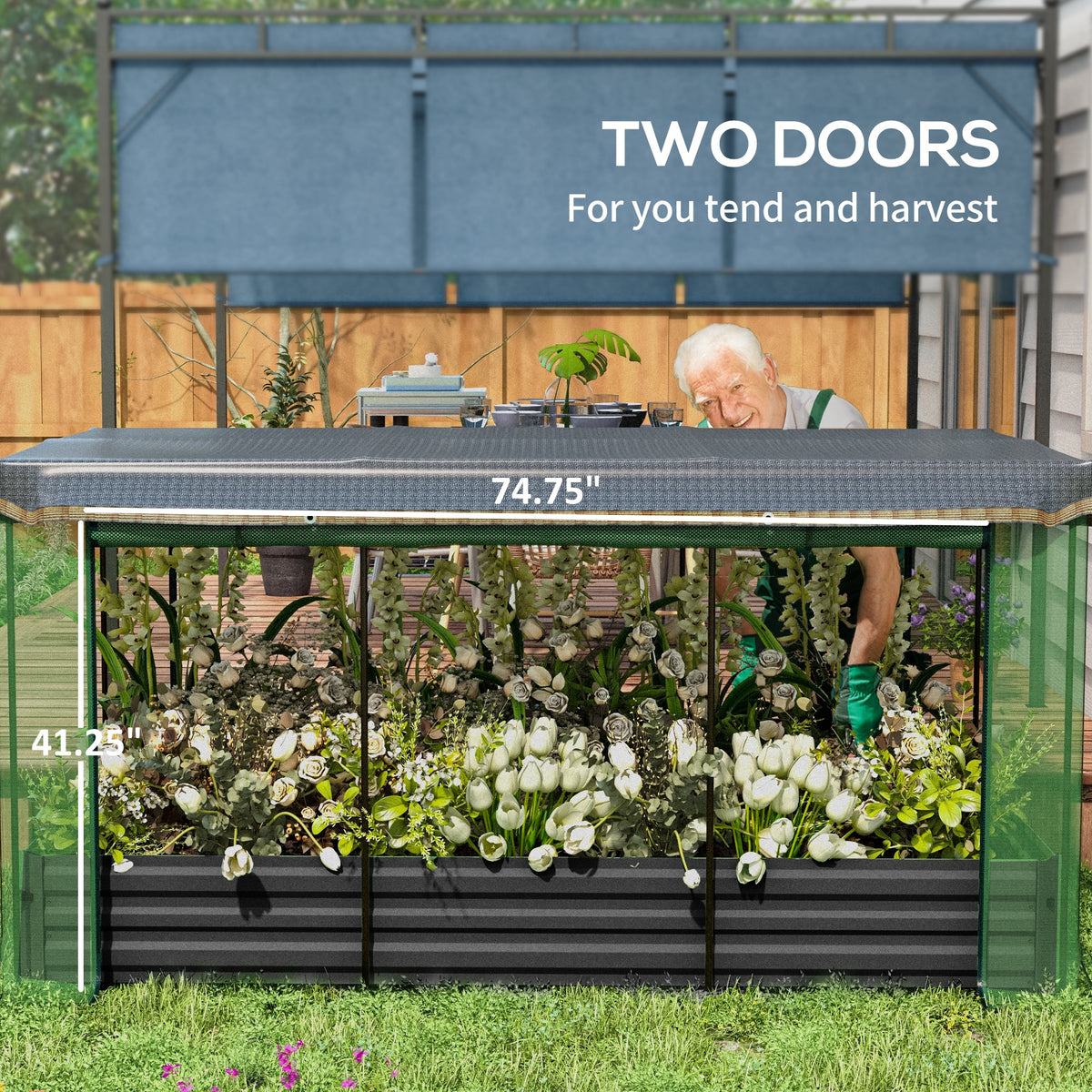 Raised Planter with Crop Cage