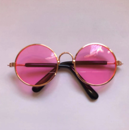 Pet Sunglasses