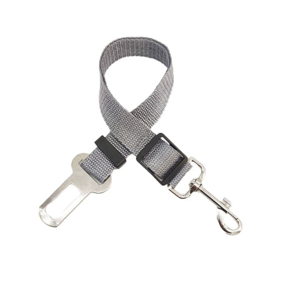 Retractable Dog Leash
