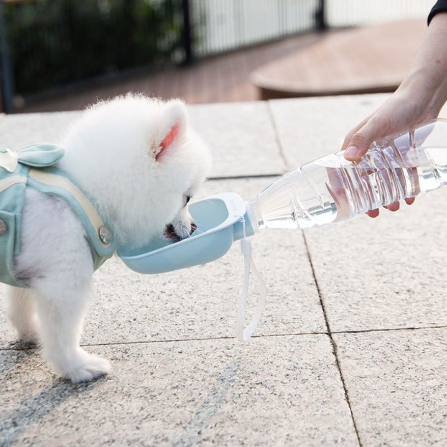 Portable Pet Water Bottle