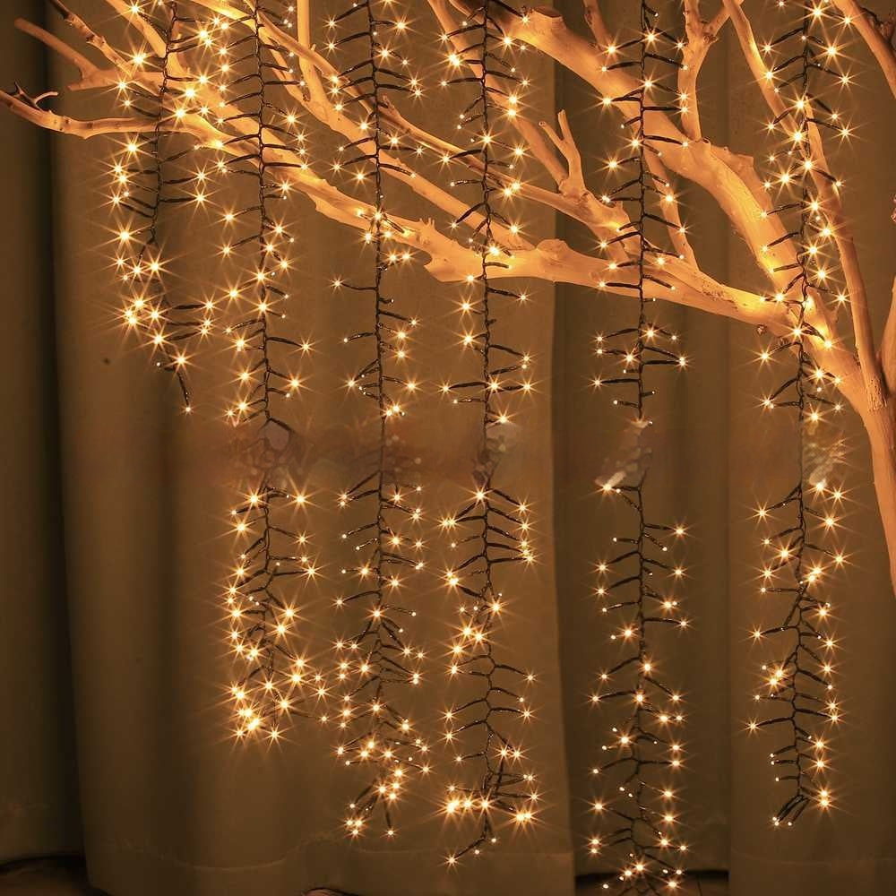 Solar Garden Stake Lights
